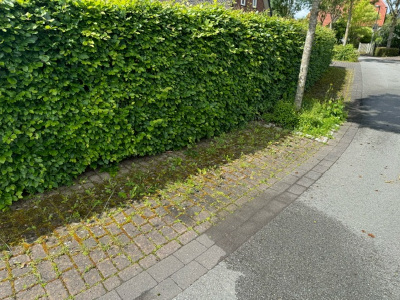 Gartenprojekt Warstein